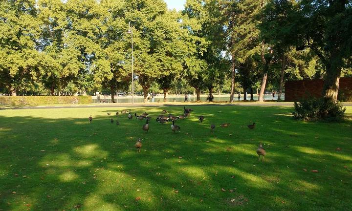 Biergarten am Aachener Weiher